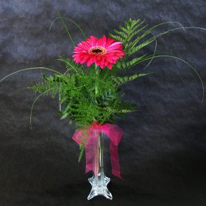 Single Flower in Bud Vase